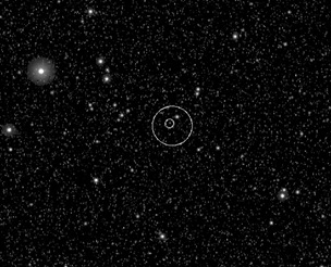 Rosetta_steins
