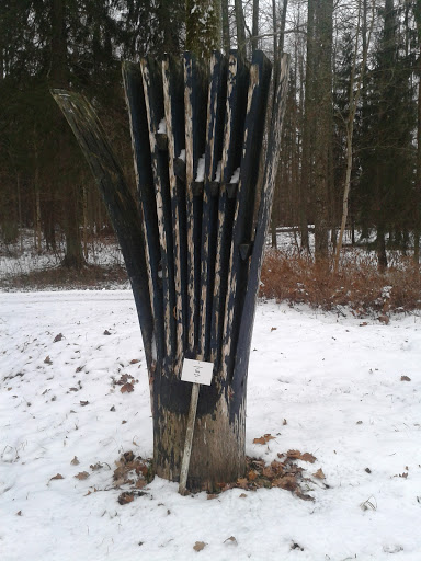 The Way Tree Holds Planks
