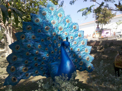 Peacock Sclupture, Mahaganpati Garden