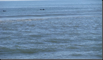 hatteras 2008 buxton 037