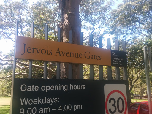Jervois Ave Gates