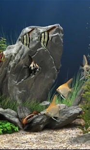 How to install Aquarium Live wallpaper 2.0 unlimited apk for pc