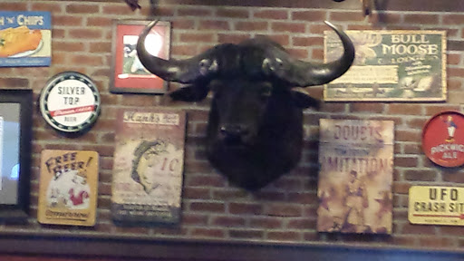 Stout's Buffalo Head