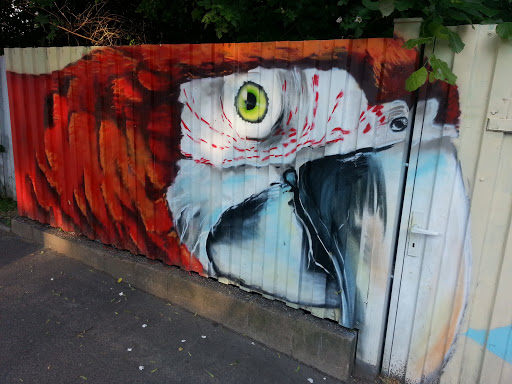 Papagei Graffiti