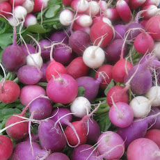 Radish and Chive Salad