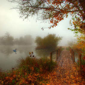 by Boris Frković - Landscape & Nature Waterscapes