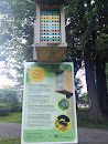 Cameron Park Bee Condo