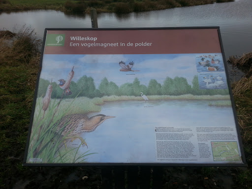 Willeskop Park Staatsbosbeheer