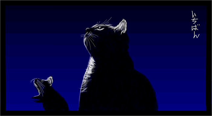 Cat and Mouse (2)