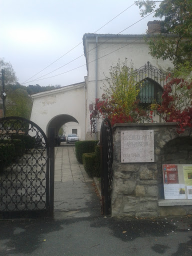 Muzeul de arta Casa Simian