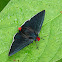 Phidias Firetip