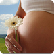 Pregnancy Calendar for PC-Windows 7,8,10 and Mac 2.3.4