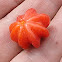 Brazilian Cherry (Pitanga : Brazil)