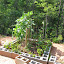 dhuss's Backyard Square Foot garden