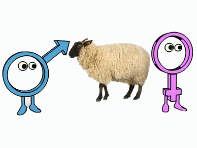 [sheep[5].jpg]