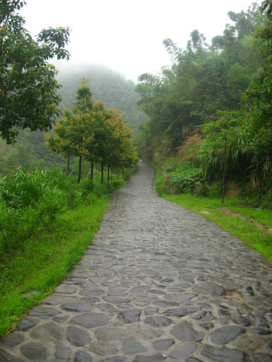 这条路上去就是周洛风景区了