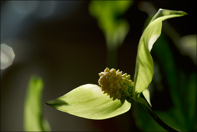 080528-010-w.jpg