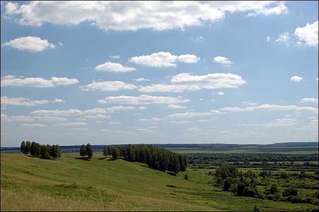 Всё меньше леса, всё больше степей