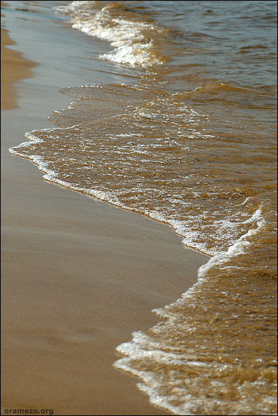 080622-585-w.jpg