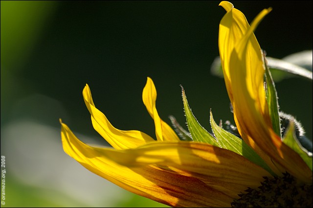 080714-037-w.jpg