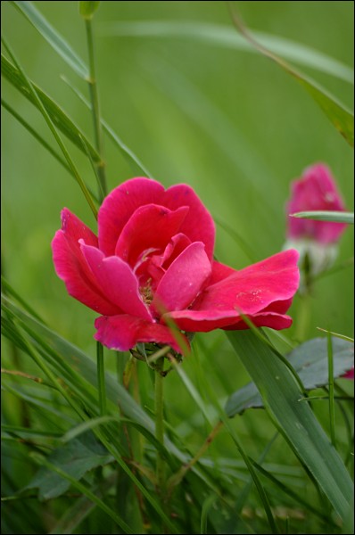 080801-260-w.jpg