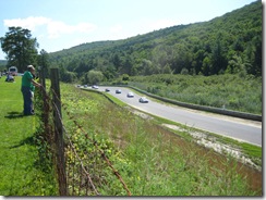 limerock4