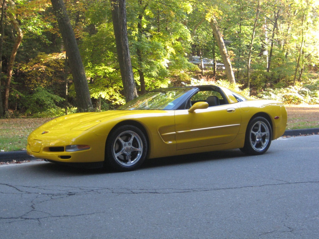 [vette3[4].jpg]