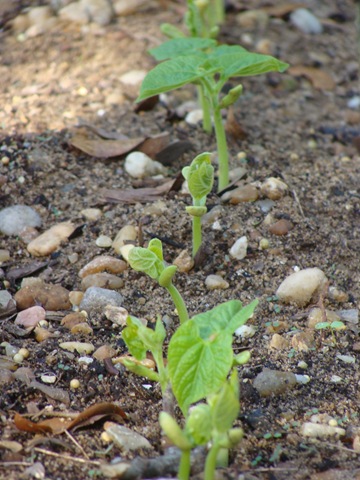 [DSC028013.jpg]