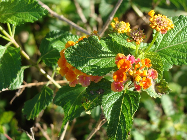[DSC027902.jpg]