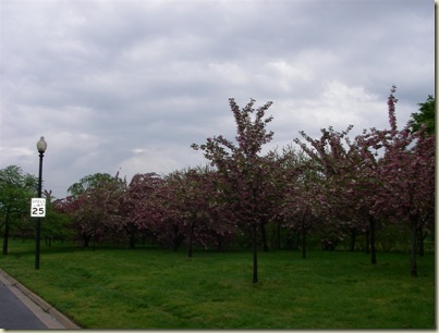 IMGP3332