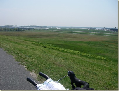IMGP3392
