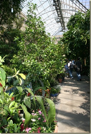 IMG_7527 512 x 768