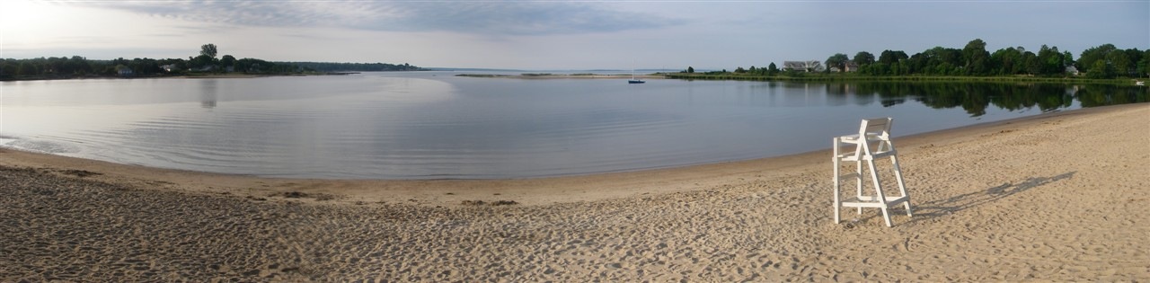 [Buttonwoods 1280 x 315[4].jpg]