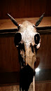 Metal Cow Skull Sculpture
