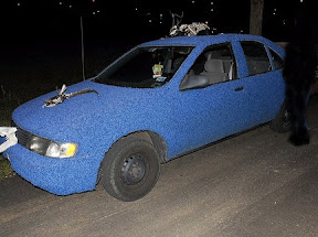 Carpet Car