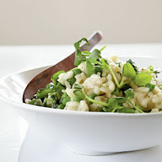 English Pea Risotto