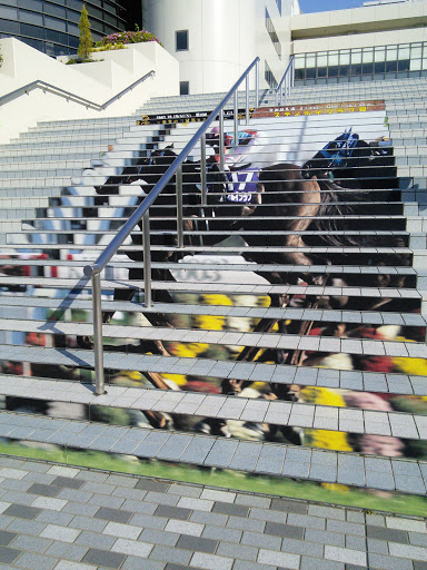 京都競馬場 スティルインラブの階段
