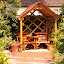 Knowlesie's Patio garden