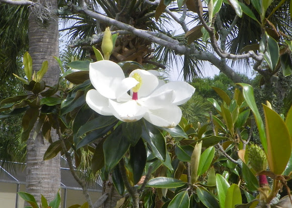 Spotting Image 1