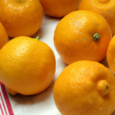 Bergamot Marmalade