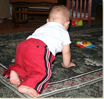 He's a crawler