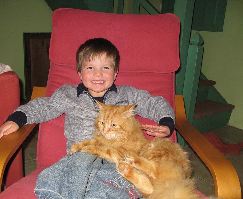 [JamesCat[4].jpg]