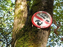 GoodSign