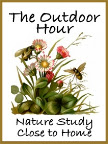 Nature Study Activities