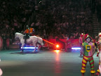 2008 Circus &ndash; 