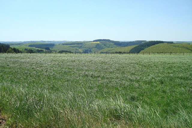 [a - Luxembourg Ardennes 122[2].jpg]