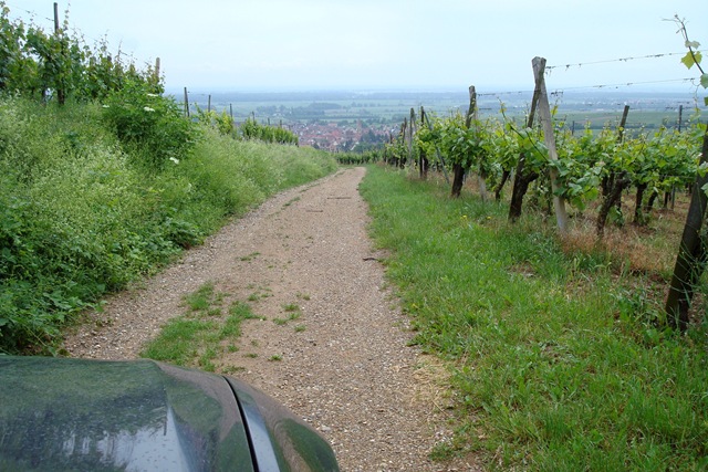[i - Alsace - Mittelwiher wine visit 04[4].jpg]