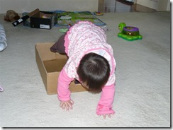 box05