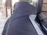 12012008042.jpg