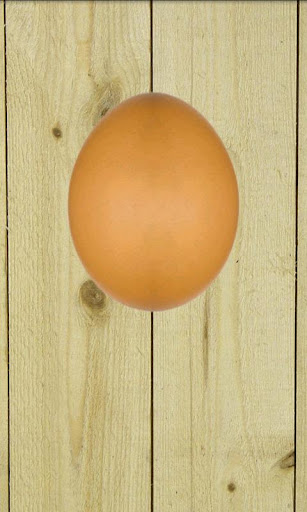 Toss an Egg